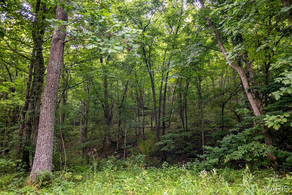 0 Talley Road Hartsburg, MO 65039 - Photo 58 of 97