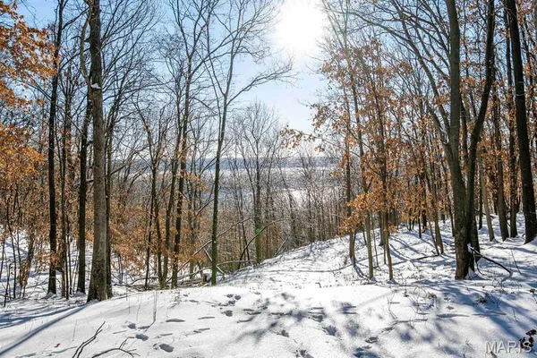 $4,084,000 | 0 Talley Road, Hartsburg, MO 65039