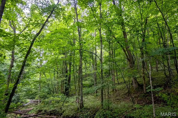 $4,084,000 | 0 Talley Road, Hartsburg, MO 65039