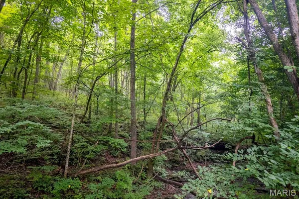 $4,084,000 | 0 Talley Road, Hartsburg, MO 65039