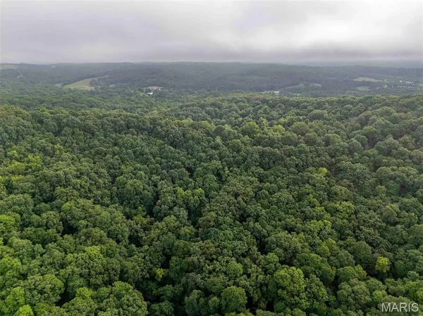 $4,084,000 | 0 Talley Road, Hartsburg, MO 65039