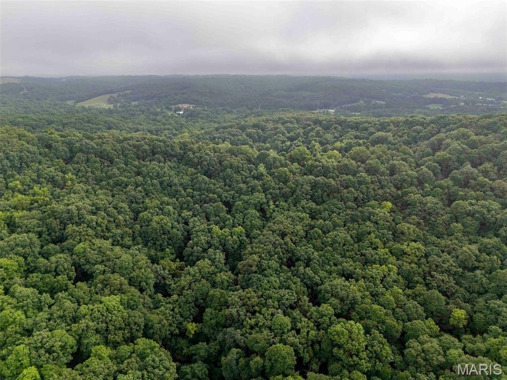 0 Talley Road Hartsburg, MO 65039 - Photo 71 of 97
