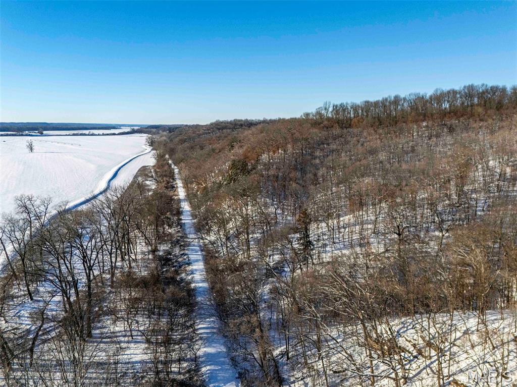 0 Talley Road Hartsburg, MO 65039 - Photo 77 of 97