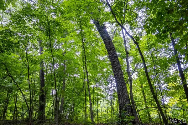 $4,084,000 | 0 Talley Road, Hartsburg, MO 65039