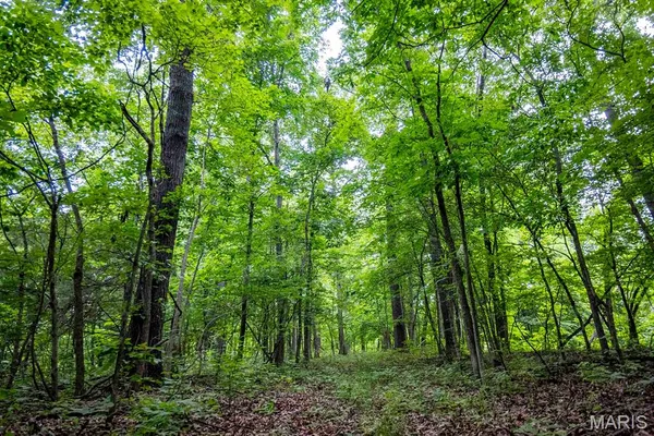 $4,084,000 | 0 Talley Road, Hartsburg, MO 65039