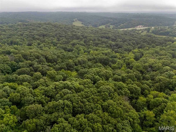$4,084,000 | 0 Talley Road, Hartsburg, MO 65039