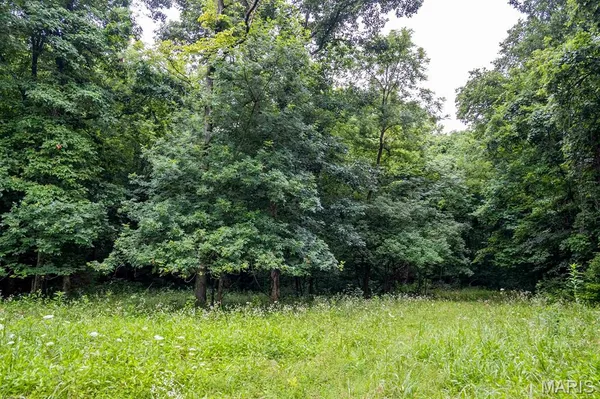$4,084,000 | 0 Talley Road, Hartsburg, MO 65039
