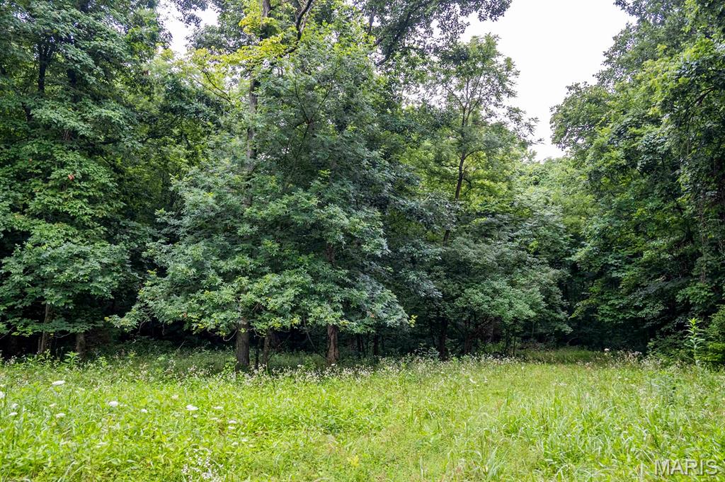 0 Talley Road Hartsburg, MO 65039 - Photo 84 of 97