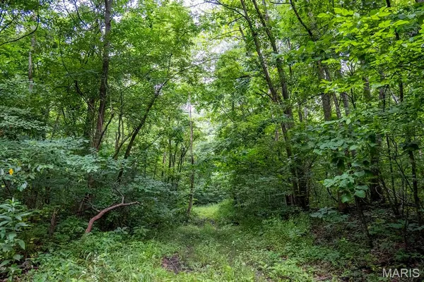 $4,084,000 | 0 Talley Road, Hartsburg, MO 65039