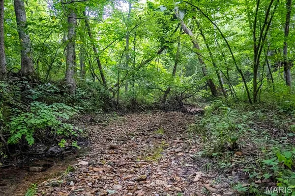 $4,084,000 | 0 Talley Road, Hartsburg, MO 65039