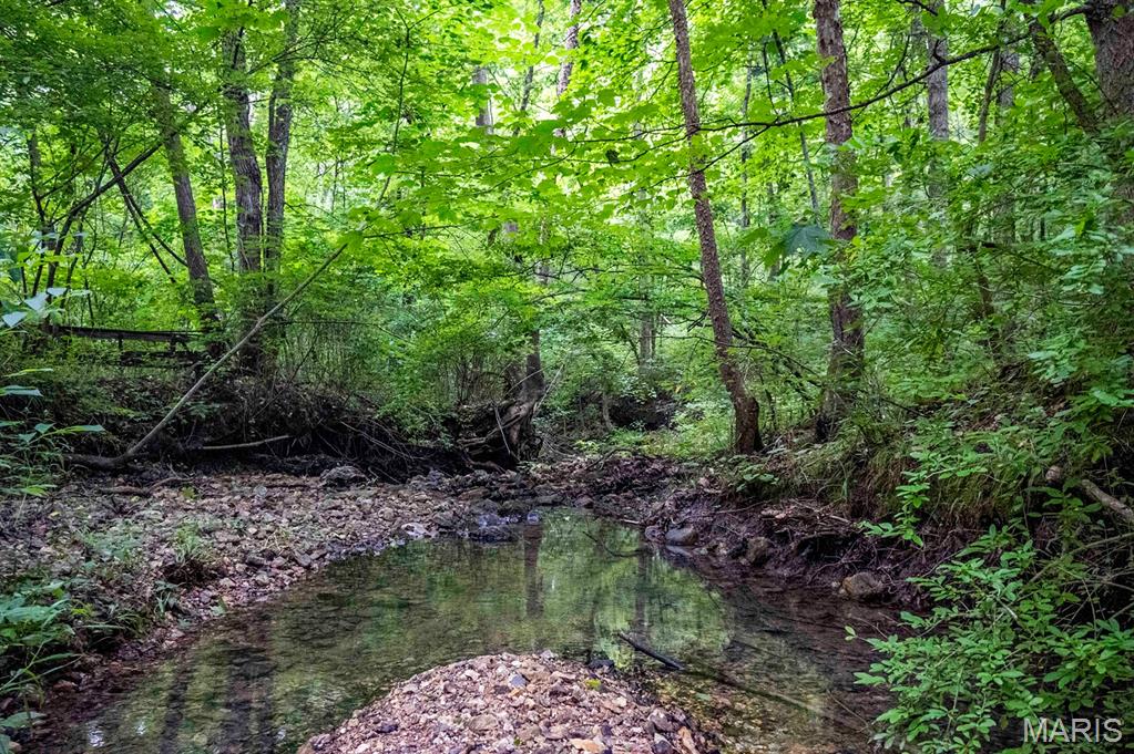 0 Talley Road Hartsburg, MO 65039 - Photo 87 of 97