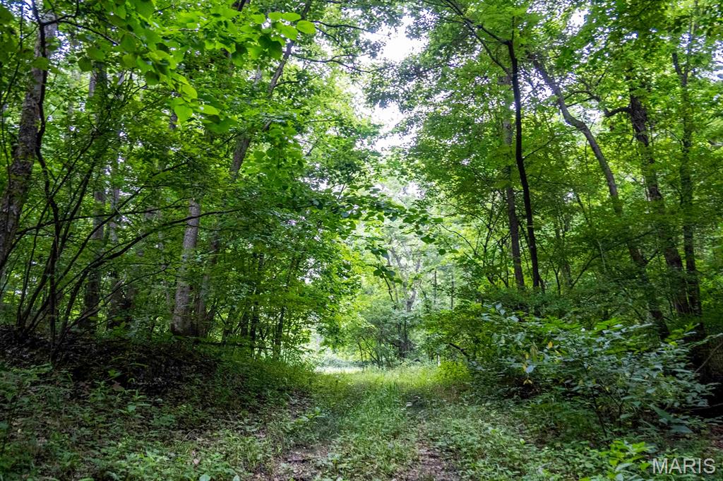 0 Talley Road Hartsburg, MO 65039 - Photo 88 of 97