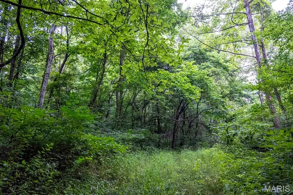 $4,084,000 | 0 Talley Road, Hartsburg, MO 65039