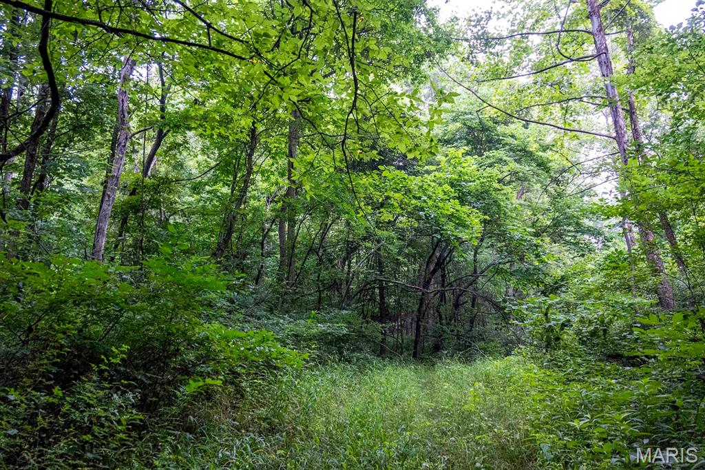 0 Talley Road Hartsburg, MO 65039 - Photo 91 of 97
