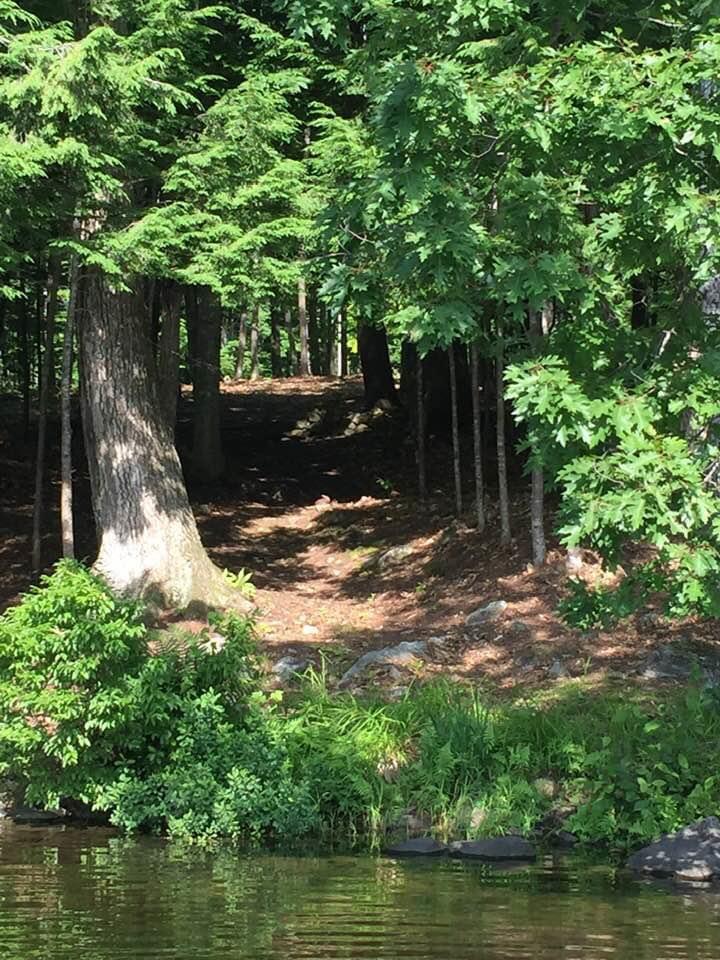 71 Cove Road Readfield, ME 04355 - Photo 5 of 9 image1