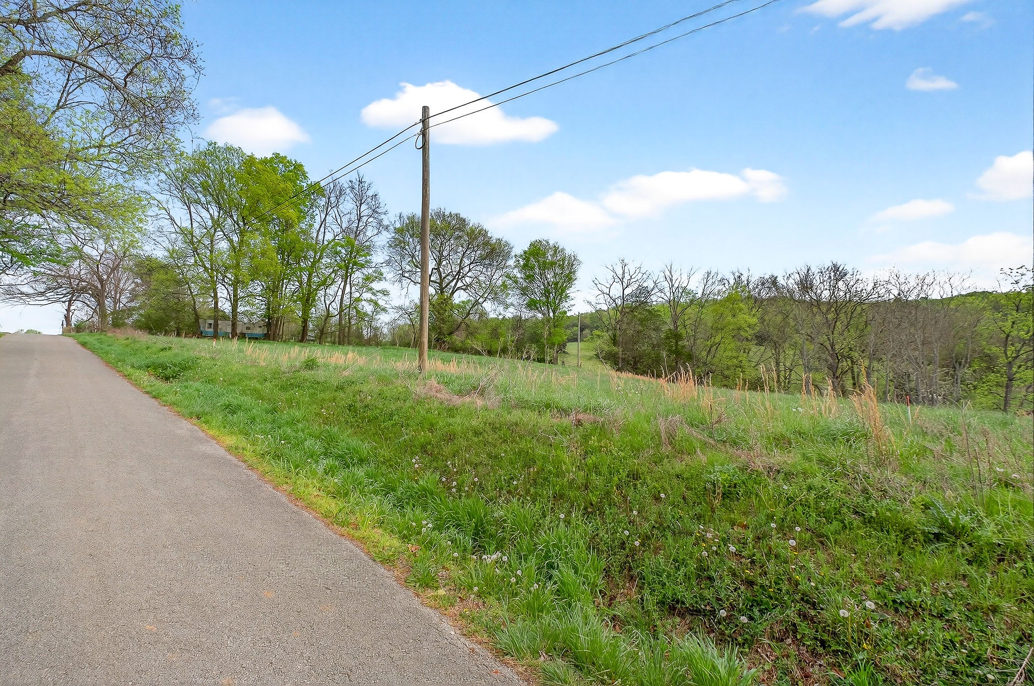 0 Joppa Road Walling, TN 38587 - Photo 5 of 5