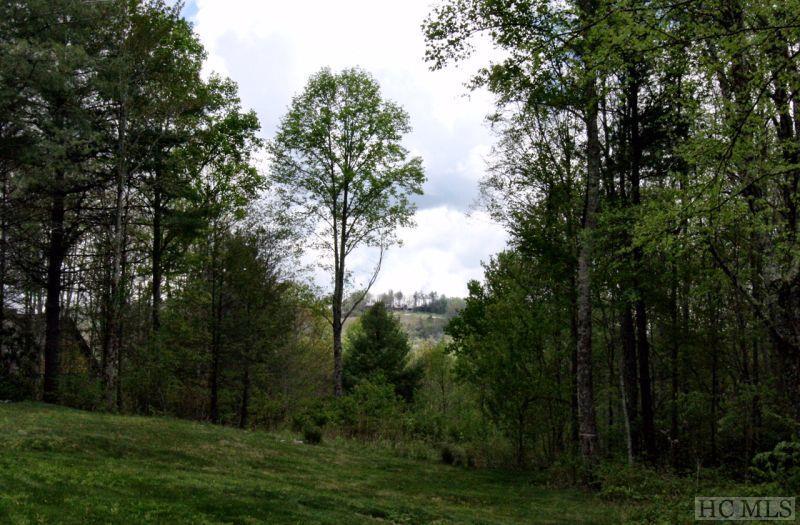 Lot 32 Center Ridge Road Sylva, NC 28779 - Photo 5 of 8 Gallery Image 5