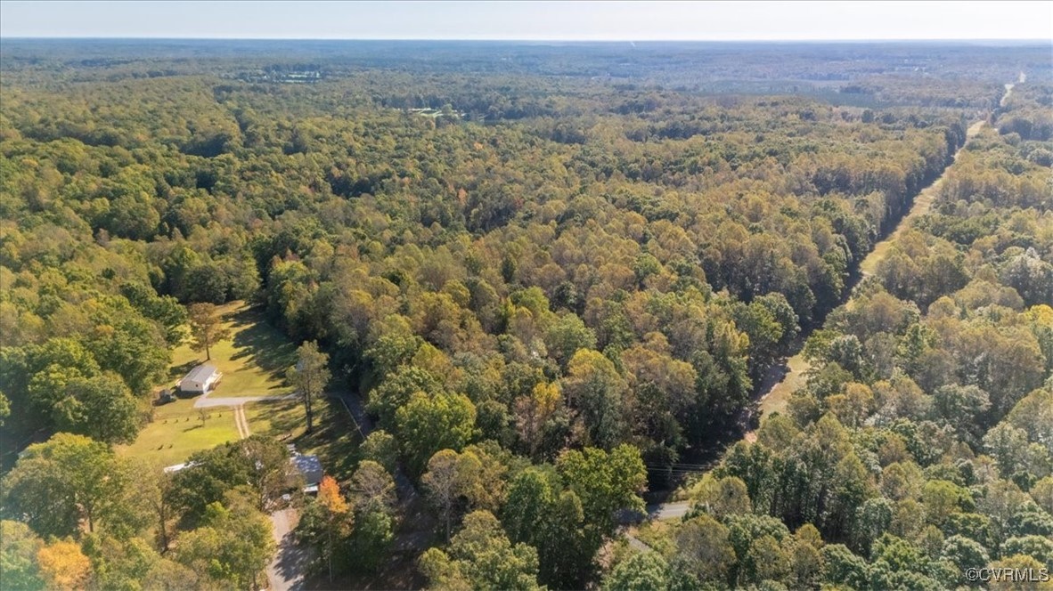 87 Proffits Road Louisa, VA 23093 - Photo 29 of 33 a view of a forest with a street