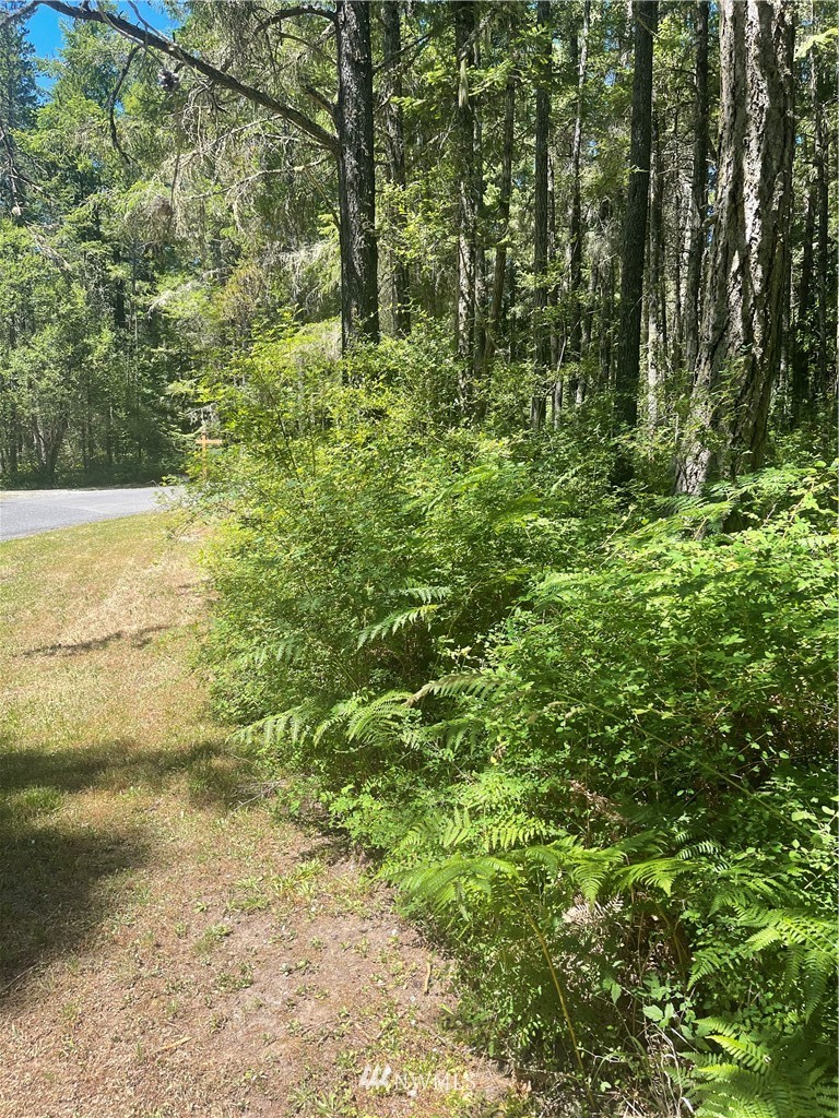 0 Petrich Road Friday Harbor, WA 98250 - Photo 13 of 35 Gallery Image 13