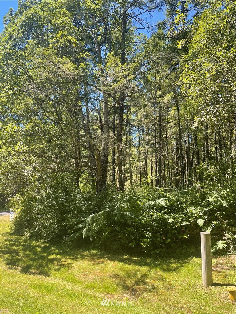 0 Petrich Road Friday Harbor, WA 98250 - Photo 7 of 35 Gallery Image 7