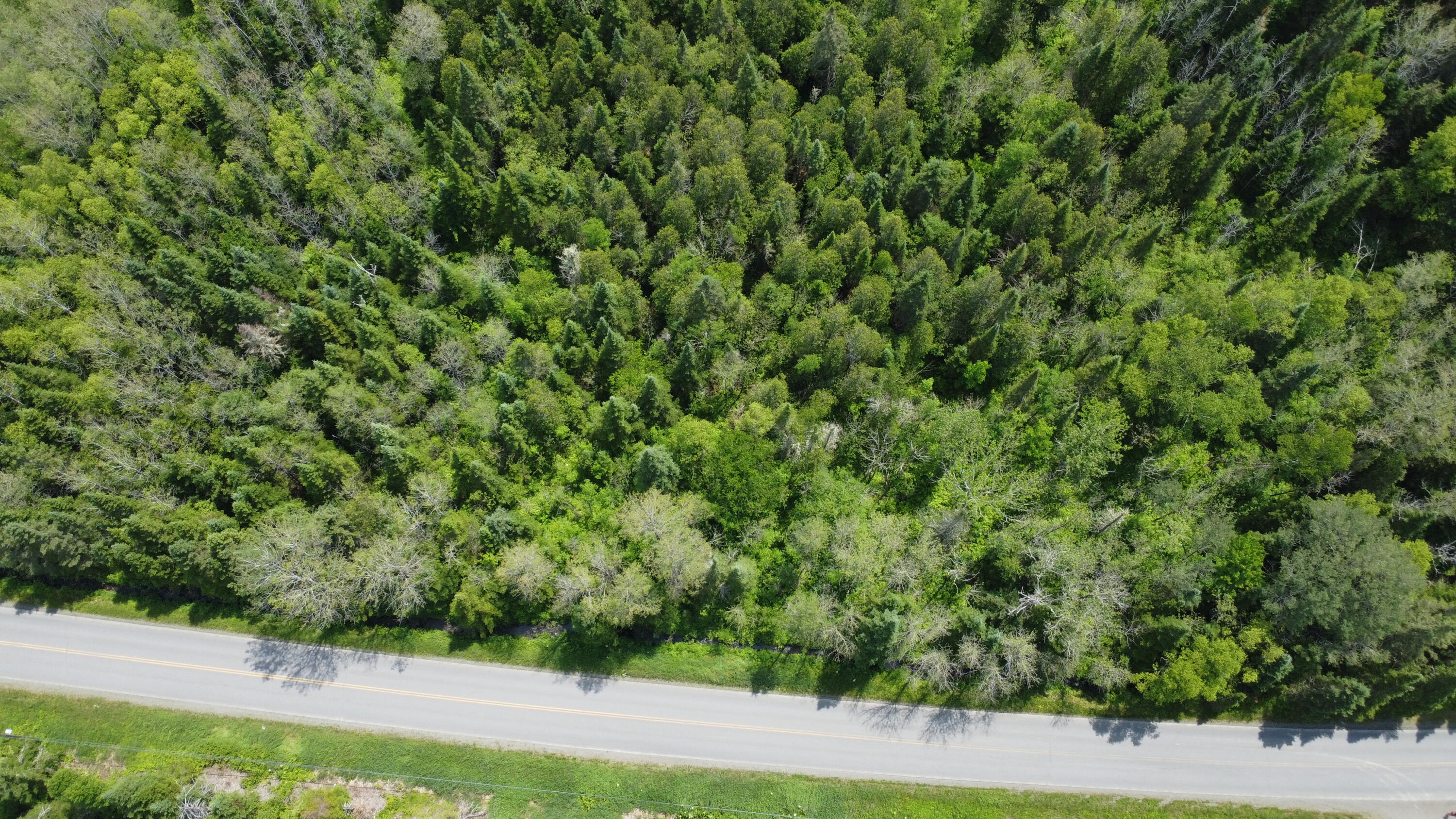 25-2 Lavertu Road St. David, ME 04773 - Photo 12 of 21 DJI_0977