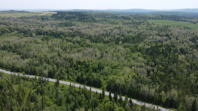 $35,000 | 25-2 Lavertu Road, St. David, ME 04773