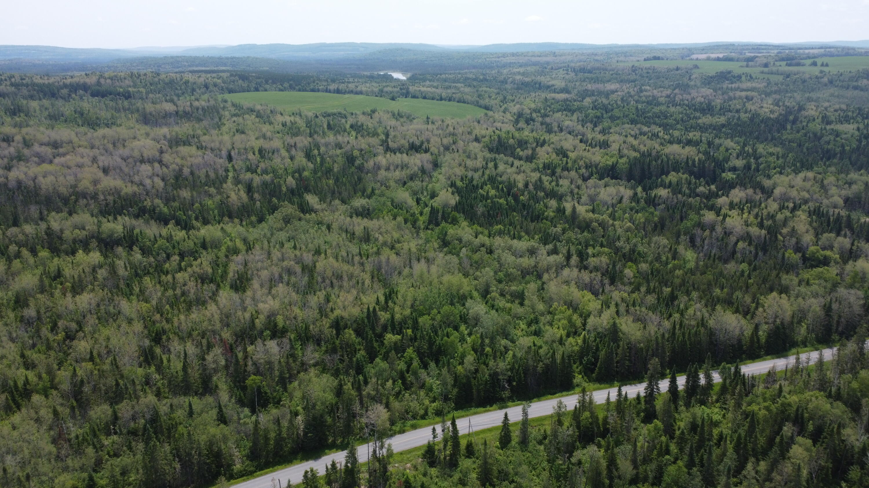 25-2 Lavertu Road St. David, ME 04773 - Photo 16 of 21 DJI_0981