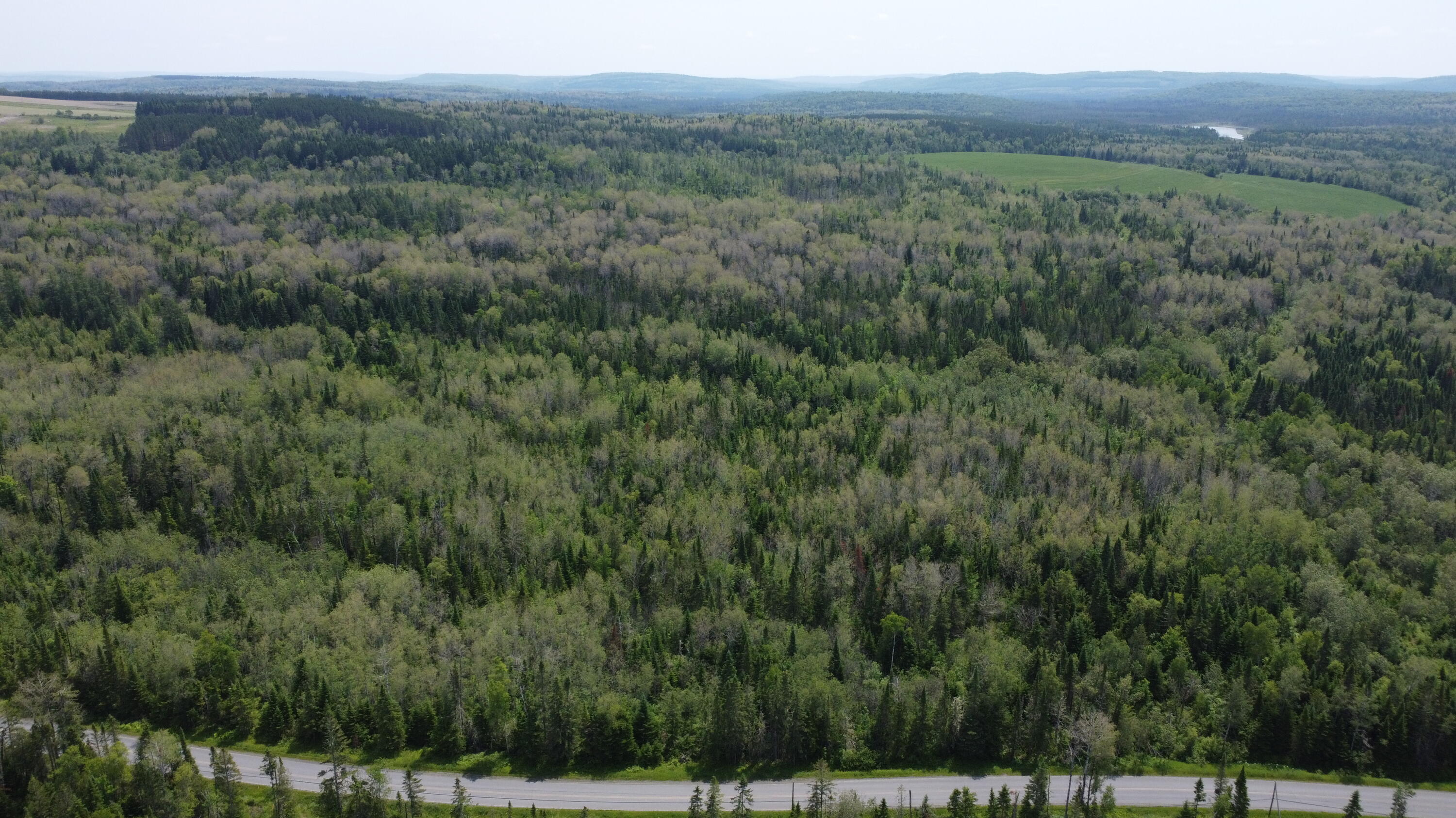25-2 Lavertu Road St. David, ME 04773 - Photo 17 of 21 DJI_0982