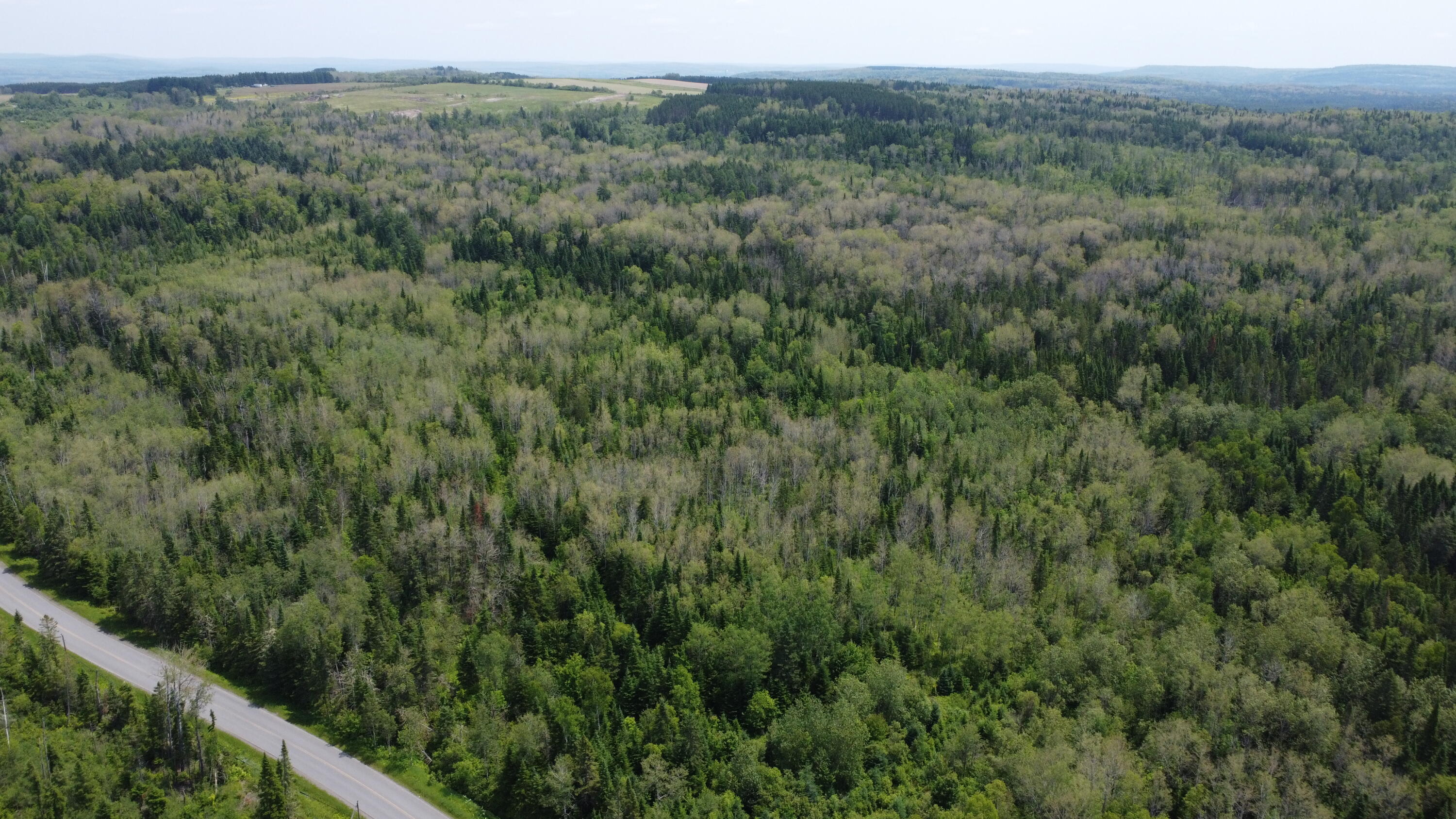 25-2 Lavertu Road St. David, ME 04773 - Photo 18 of 21 DJI_0983