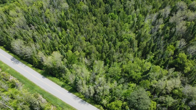 $35,000 | 25-2 Lavertu Road, St. David, ME 04773