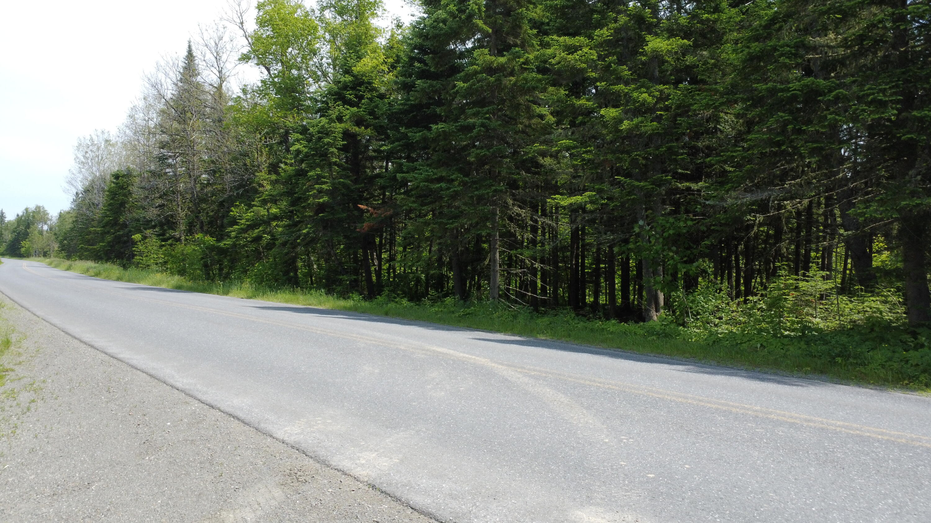 25-2 Lavertu Road St. David, ME 04773 - Photo 2 of 21 DJI_0967