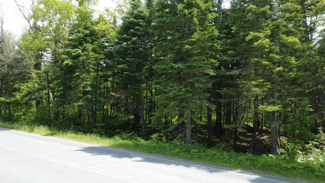 $35,000 | 25-2 Lavertu Road, St. David, ME 04773