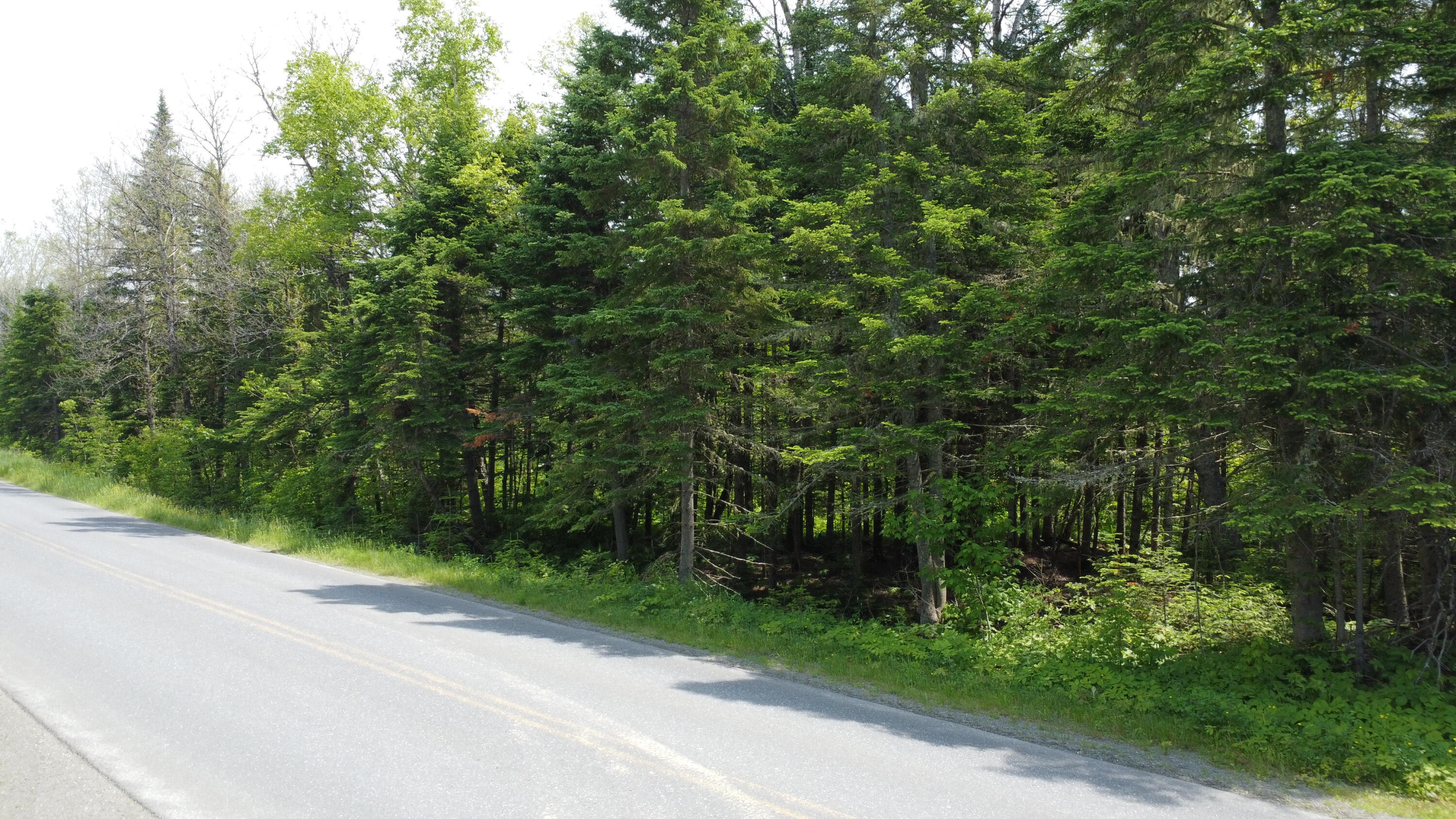 25-2 Lavertu Road St. David, ME 04773 - Photo 4 of 21 DJI_0969