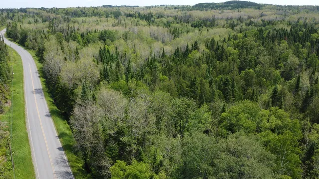 $35,000 | 25-2 Lavertu Road, St. David, ME 04773