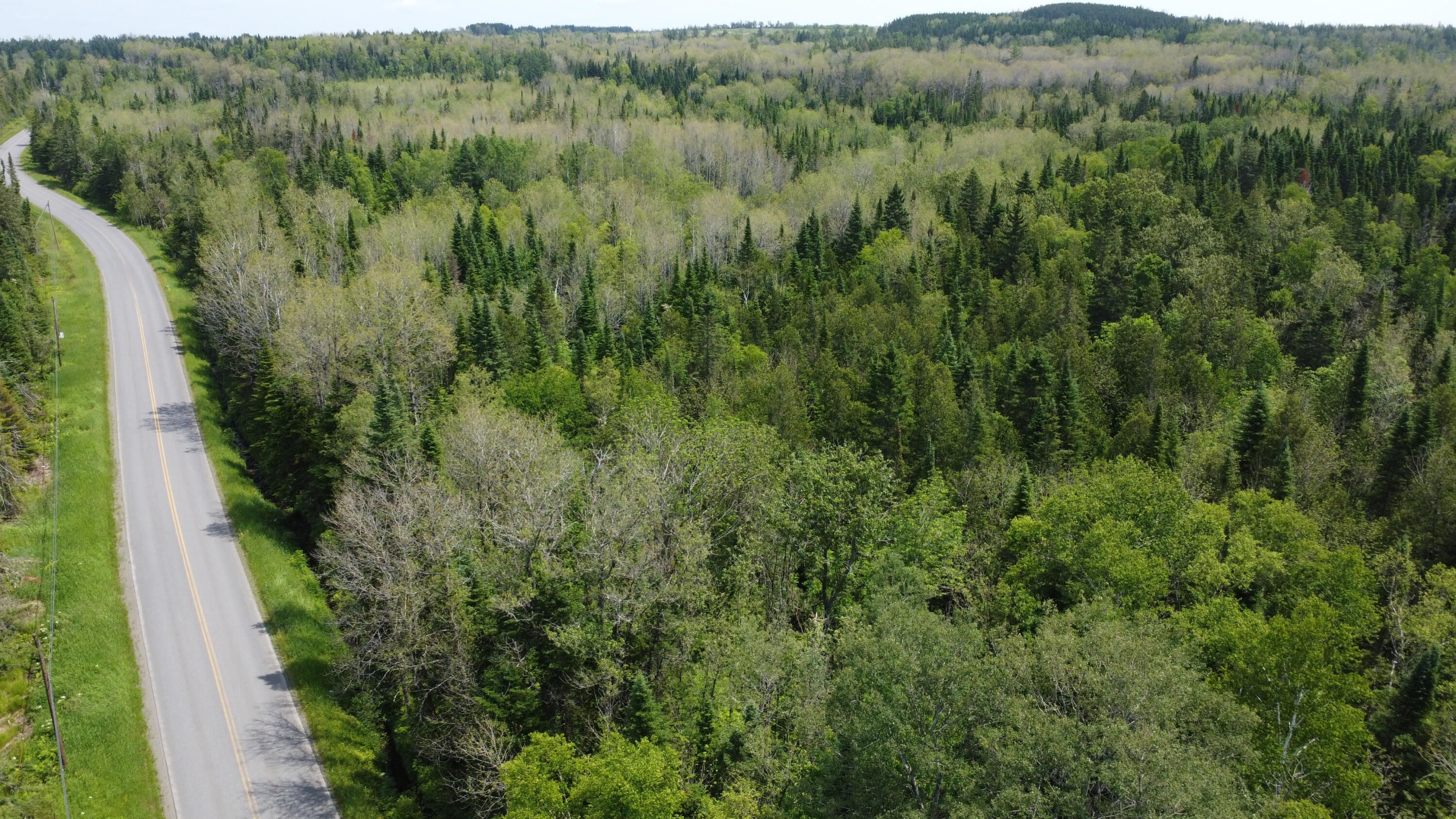 25-2 Lavertu Road St. David, ME 04773 - Photo 5 of 21 DJI_0970