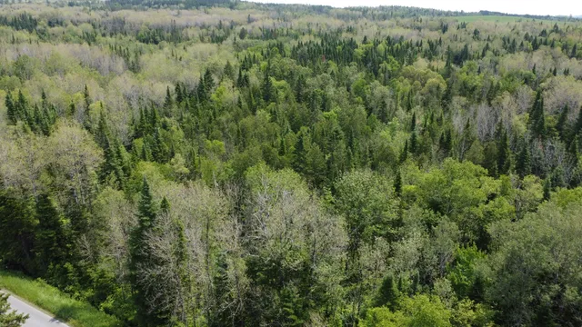 $35,000 | 25-2 Lavertu Road, St. David, ME 04773