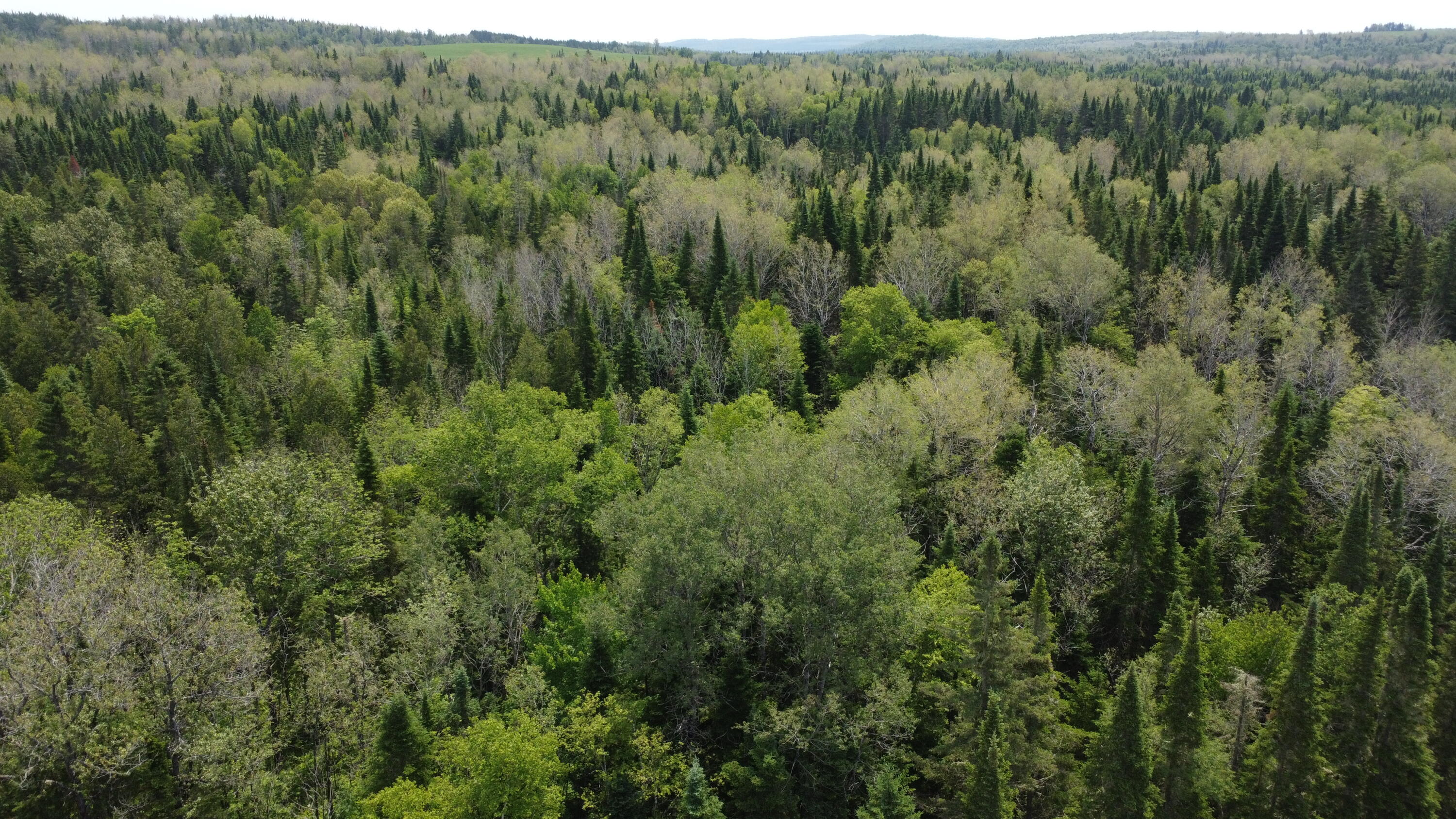 25-2 Lavertu Road St. David, ME 04773 - Photo 7 of 21 DJI_0972