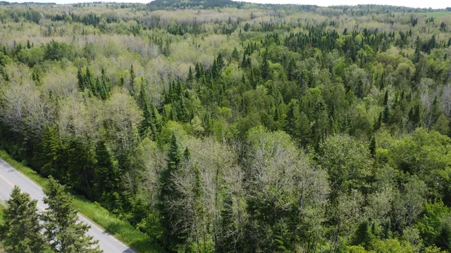 $35,000 | 25-2 Lavertu Road, St. David, ME 04773