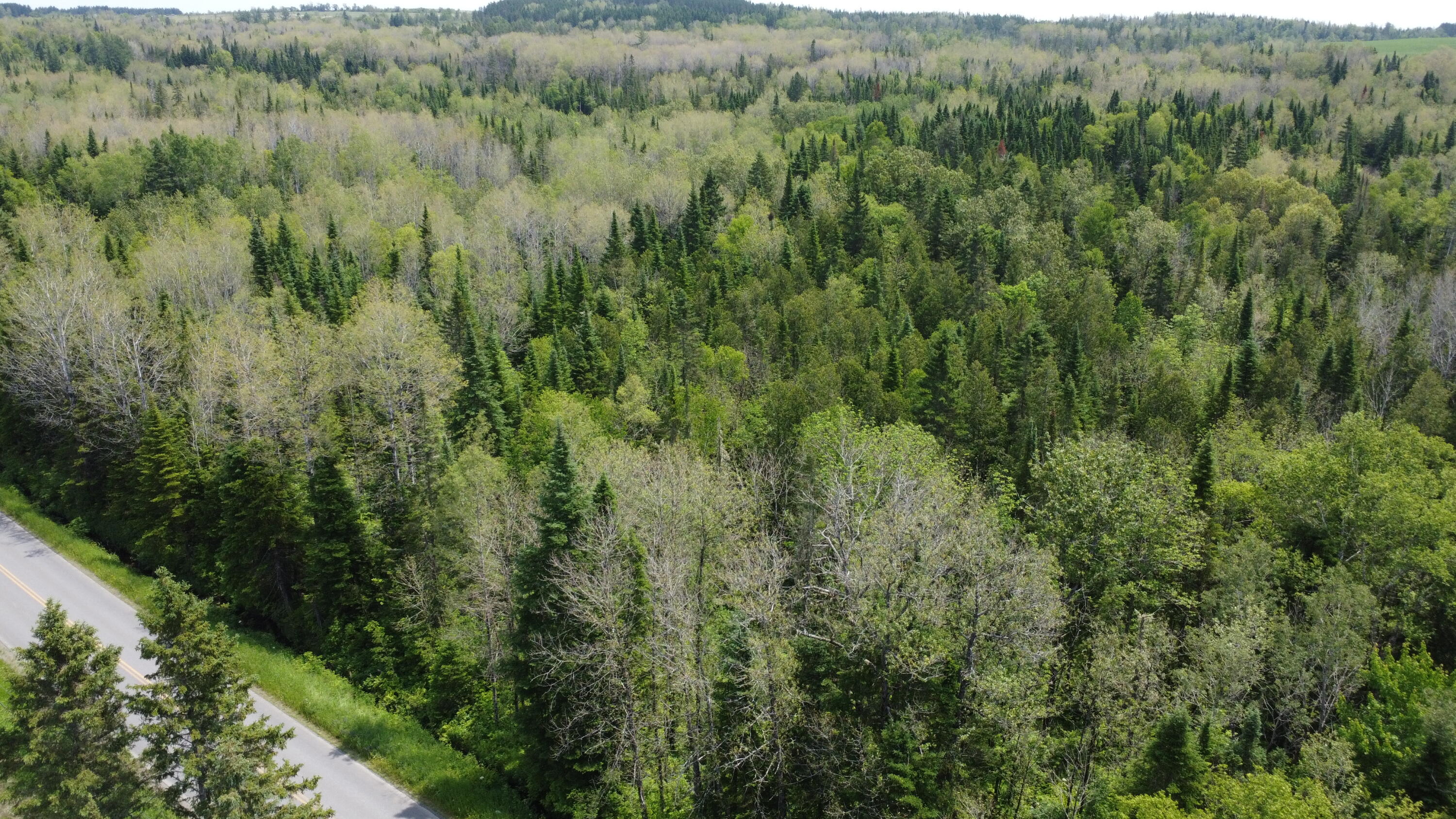 25-2 Lavertu Road St. David, ME 04773 - Photo 8 of 21 DJI_0973