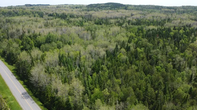 $35,000 | 25-2 Lavertu Road, St. David, ME 04773