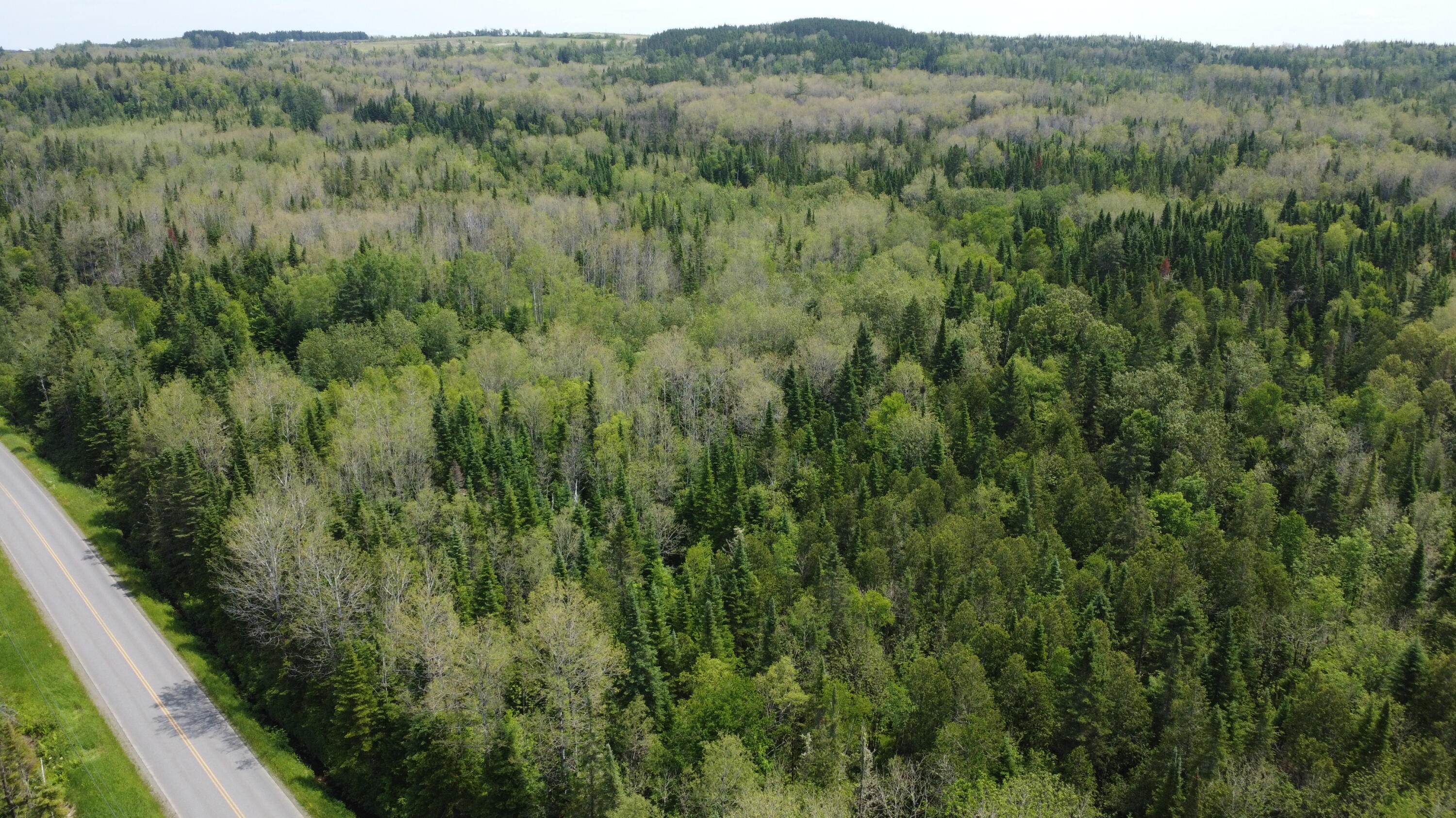 25-2 Lavertu Road St. David, ME 04773 - Photo 9 of 21 DJI_0974