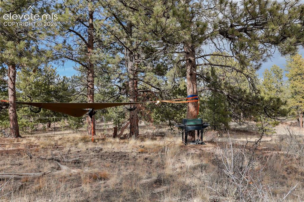 0 Twinkle Road Guffey, CO 80820 - Photo 4 of 20