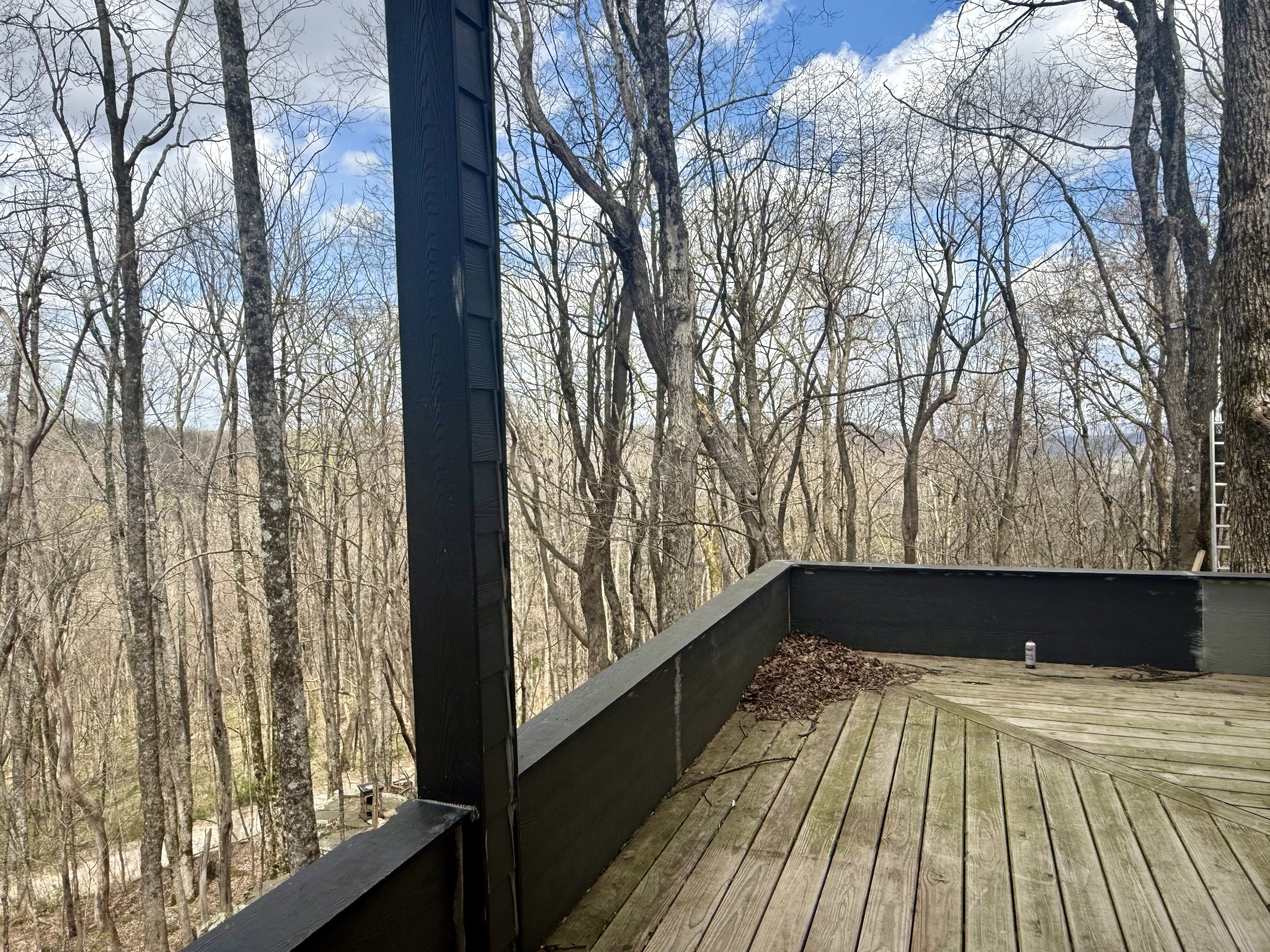 3174 Gap Road Altamont, TN 37301 - Photo 11 of 29