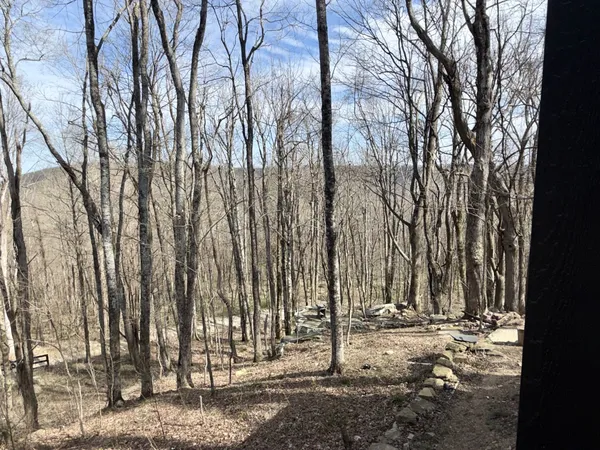a view of outdoor space with lots of trees