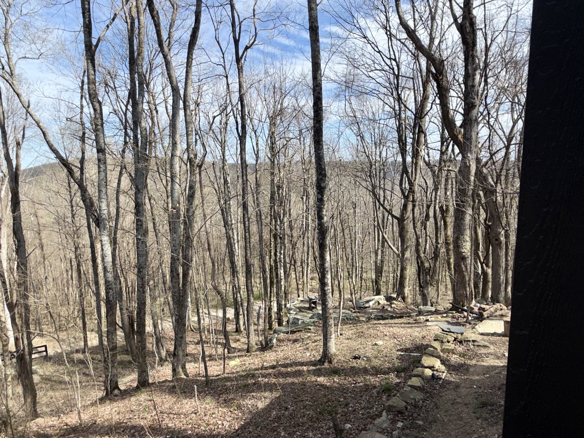 3174 Gap Road Altamont, TN 37301 - Photo 24 of 29