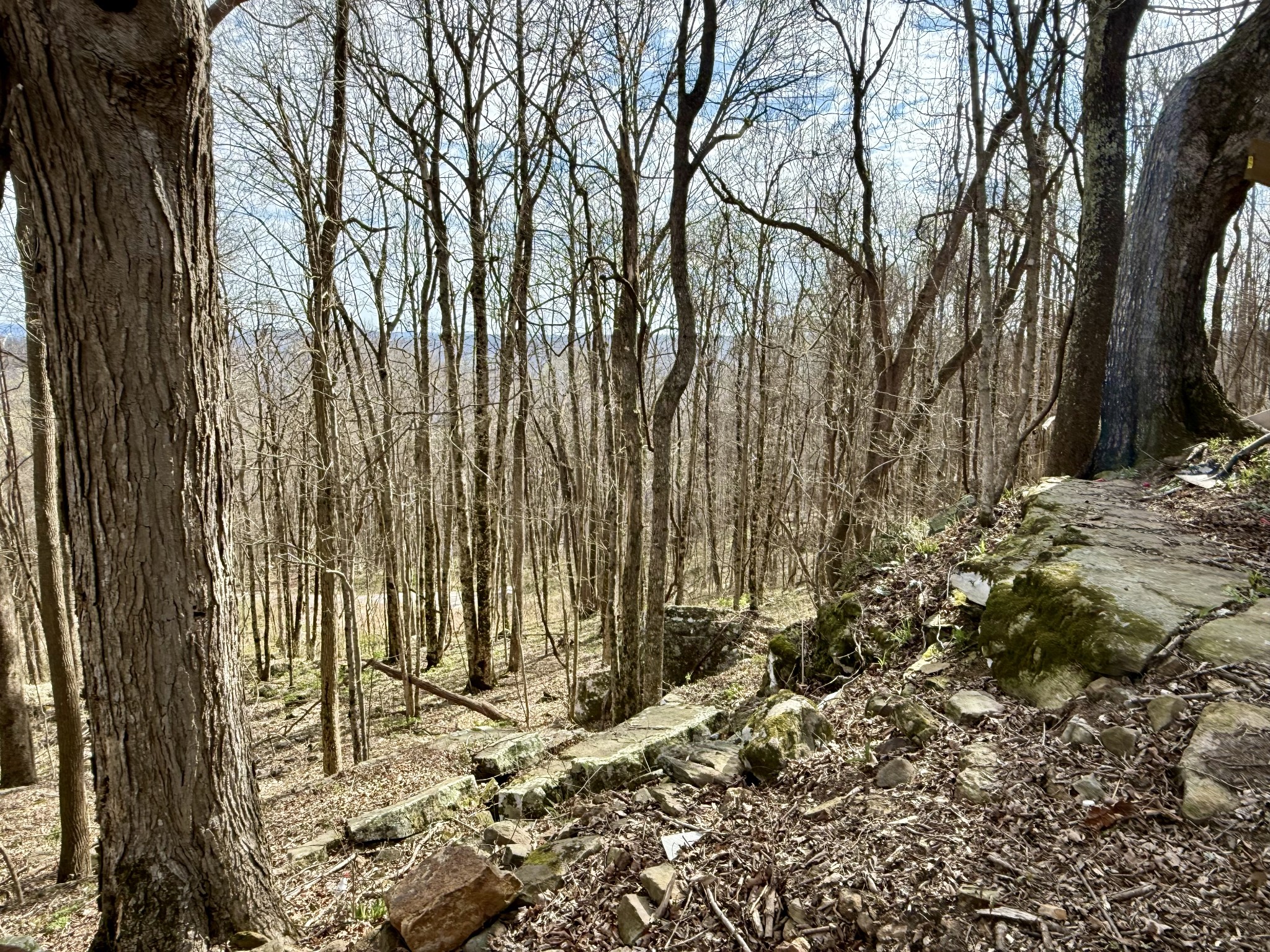 3174 Gap Road Altamont, TN 37301 - Photo 25 of 29