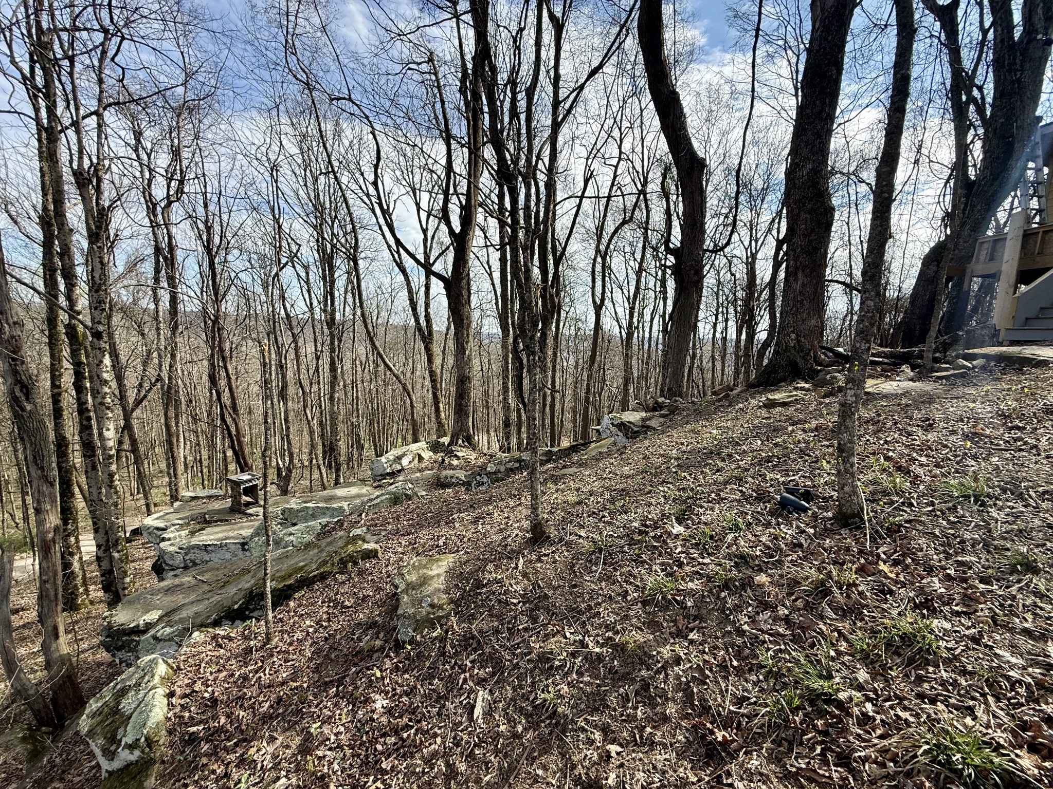 3174 Gap Road Altamont, TN 37301 - Photo 26 of 29