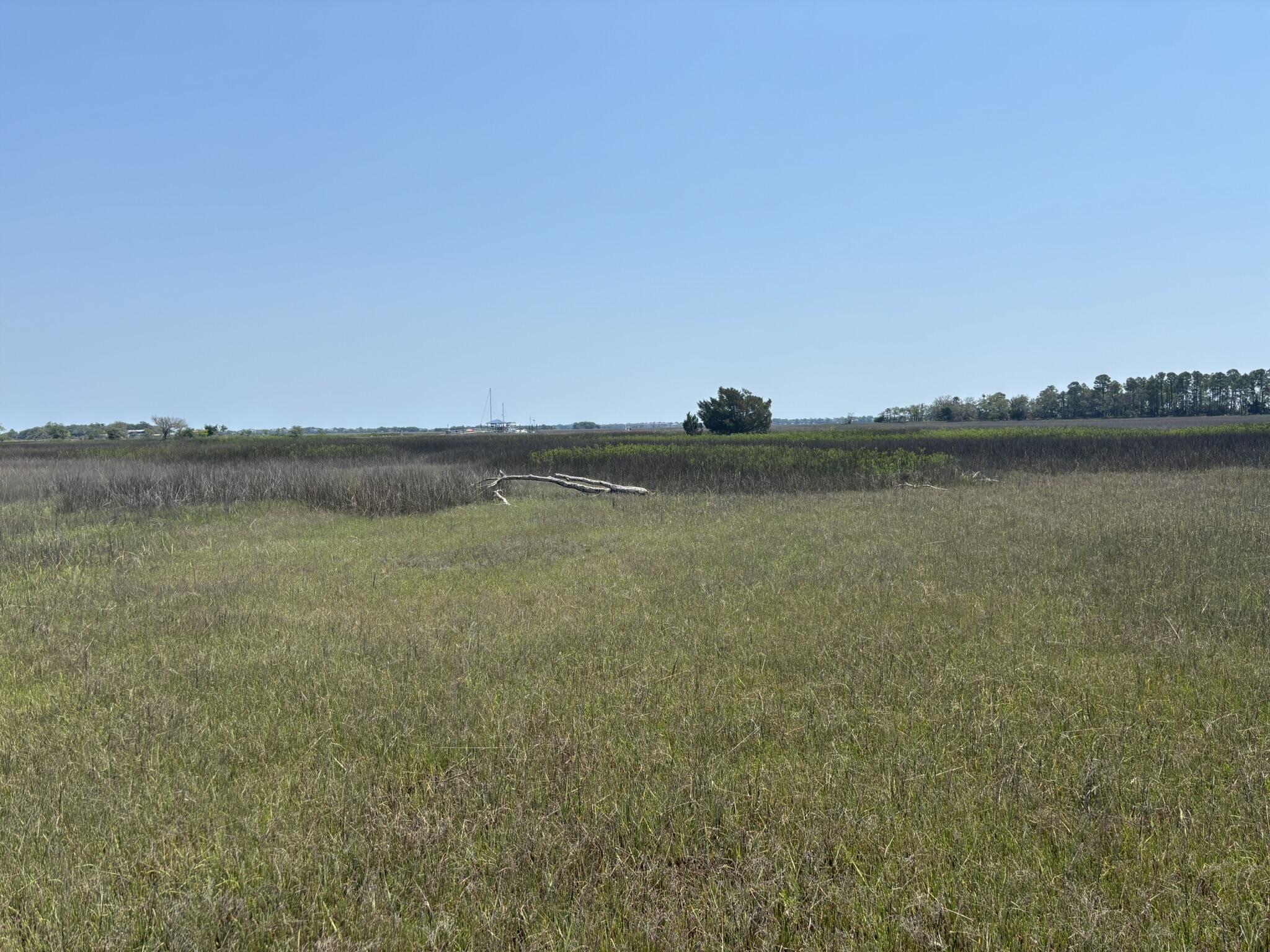 2035 Sol Legare Road Charleston, SC 29412 - Photo 14 of 26 IMG_2300