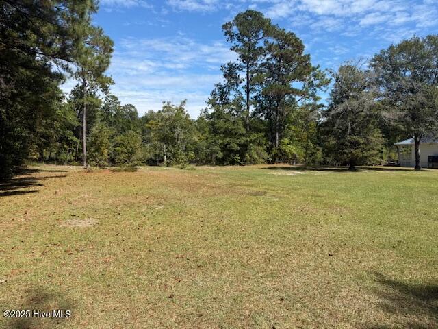 1067 River Road Tabor City, NC 28463 - Photo 2 of 9 IMG_3724