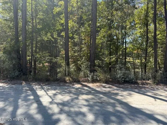 $135,000 | 1067 River Road, Tabor City, NC 28463